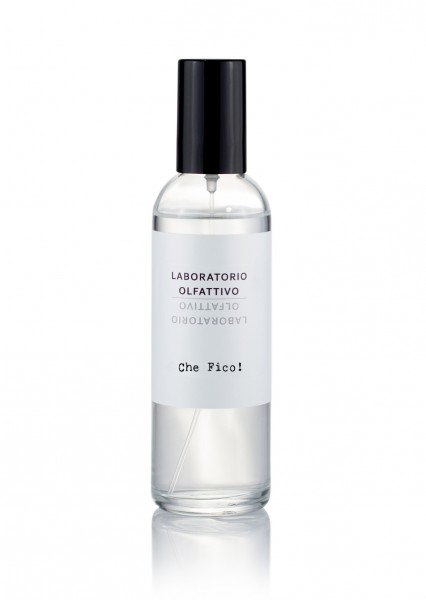 "SPRAY AMBIENTE" - CHE FICO !